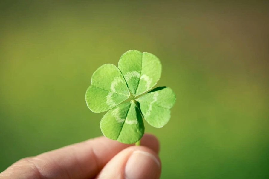 Find Object Good Luck