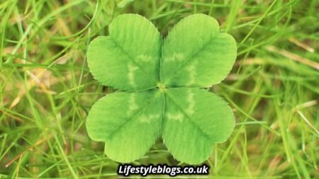 Is It Good Luck to Find a Four-Leaf Clover
