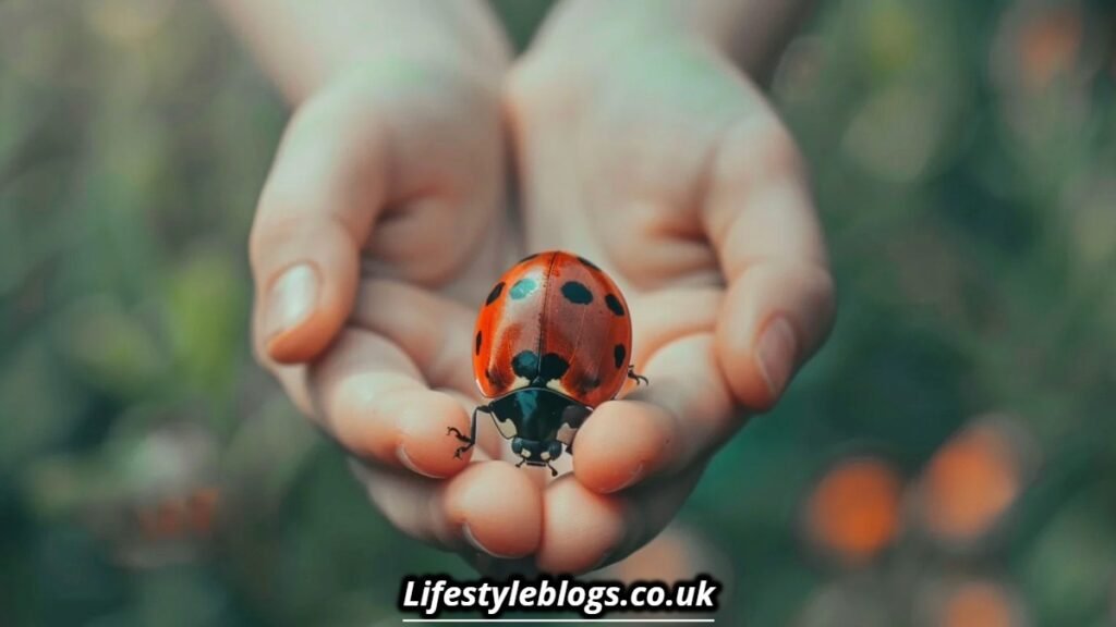 Is It Good Luck to Find a Ladybug on Your Hand